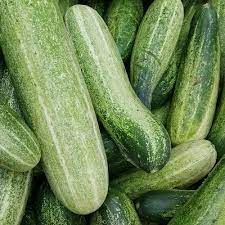 Zucchini (orgánico)