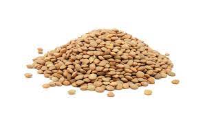 Lentejas "Salve la tierra" x 500 grs