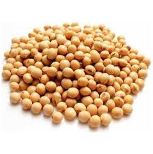 Porotos de soja "Salve la tierra" x 500 grs