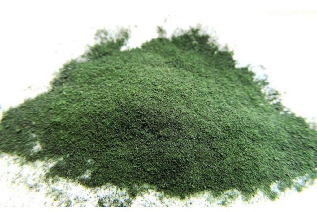 Espirulina (Spirulina maxima) "Apana"