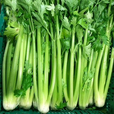 Apio (orgánico)