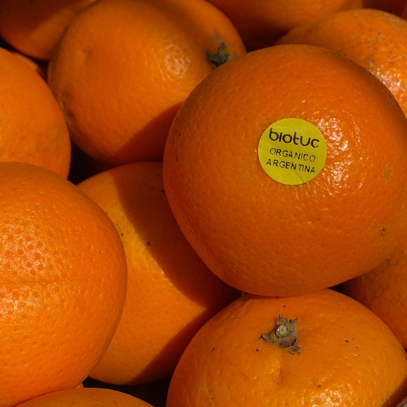 Naranja de jugo (orgánica)