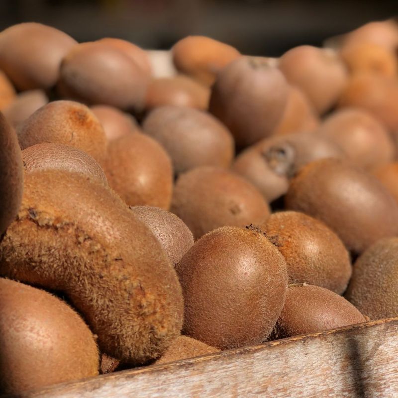 Kiwi (orgánico)