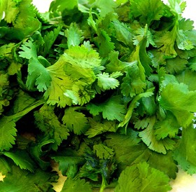 Cilantro x atado (organico)