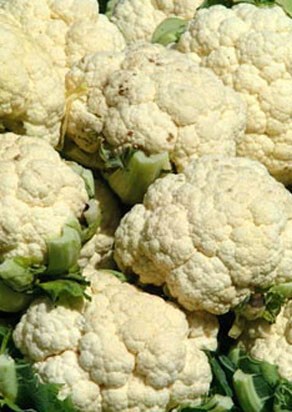 Coliflor blanco "Monte callado"