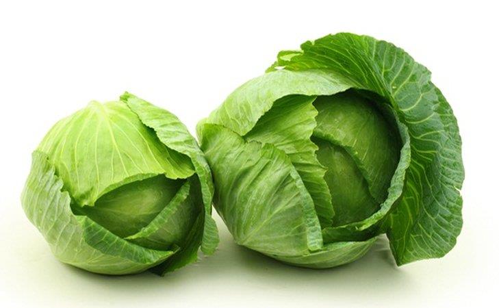 Repollo blanco (organico)
