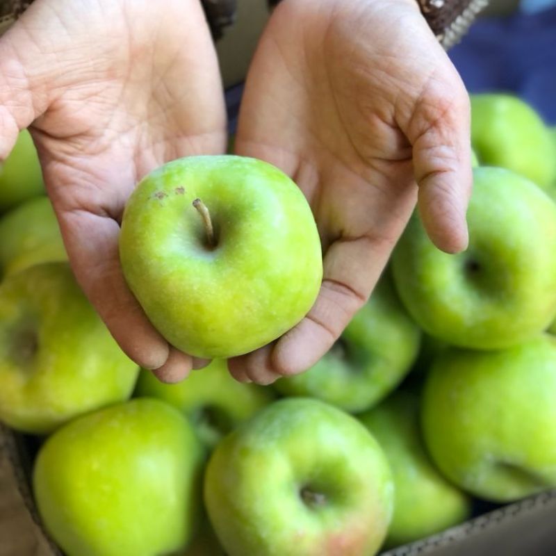 Manzana Verde (orgánica)