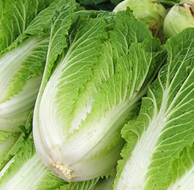 Hakusai "Monte Callado" x unidad