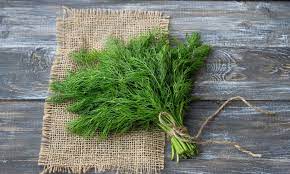 Eneldo, semilla entera "Apana"