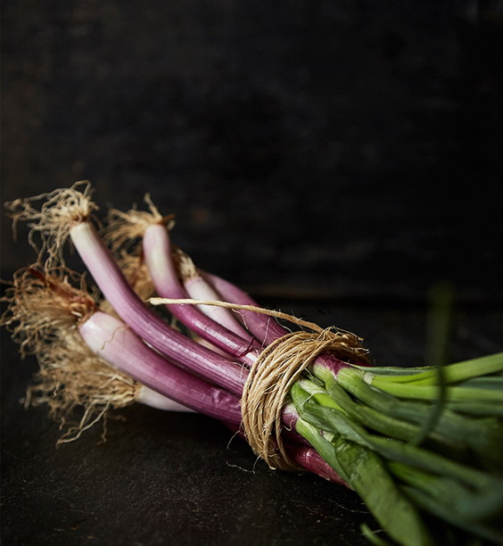 Cebolla de verdeo (orgánica)