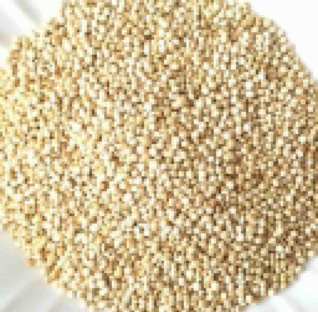 QUINOA BLANCA REAL boliviana x 250 grs