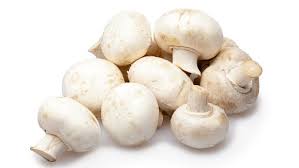 Champiñon (organico)