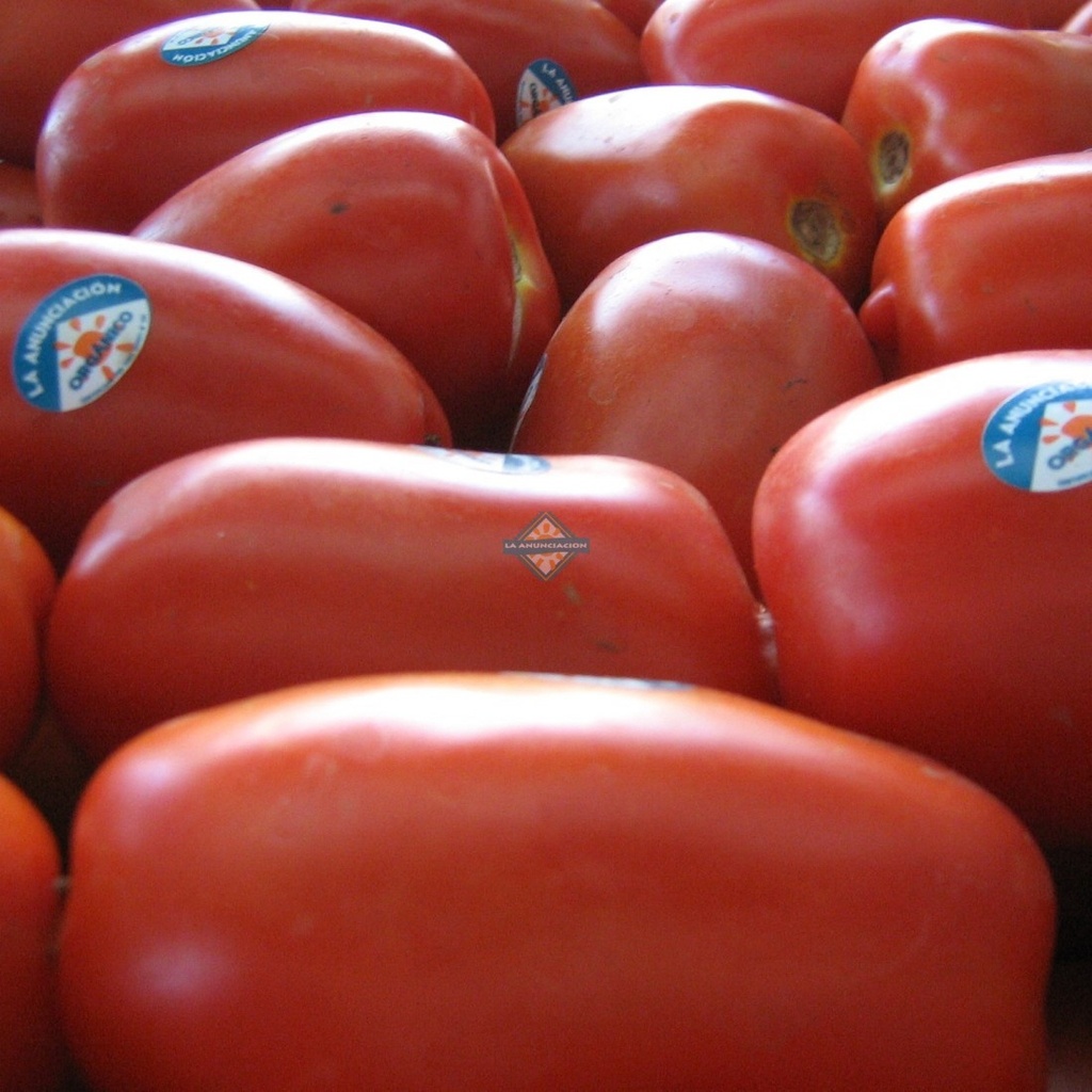 Tomate perita "La Anunciacion"