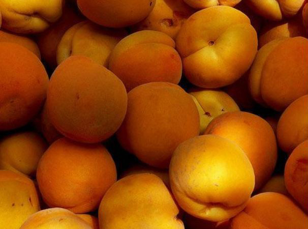 Pelon (orgánico) "Monte Callado"