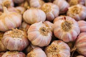 Ajo morado (organico)