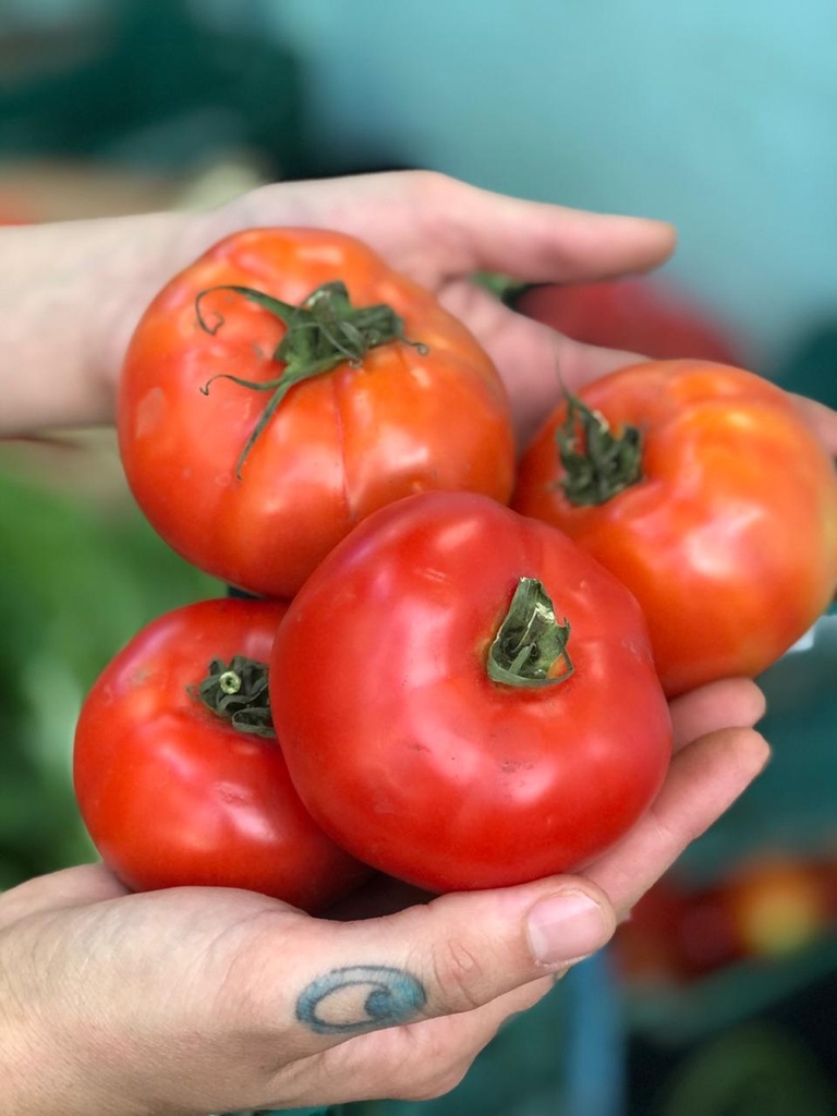 Tomate redondo (orgánico)
