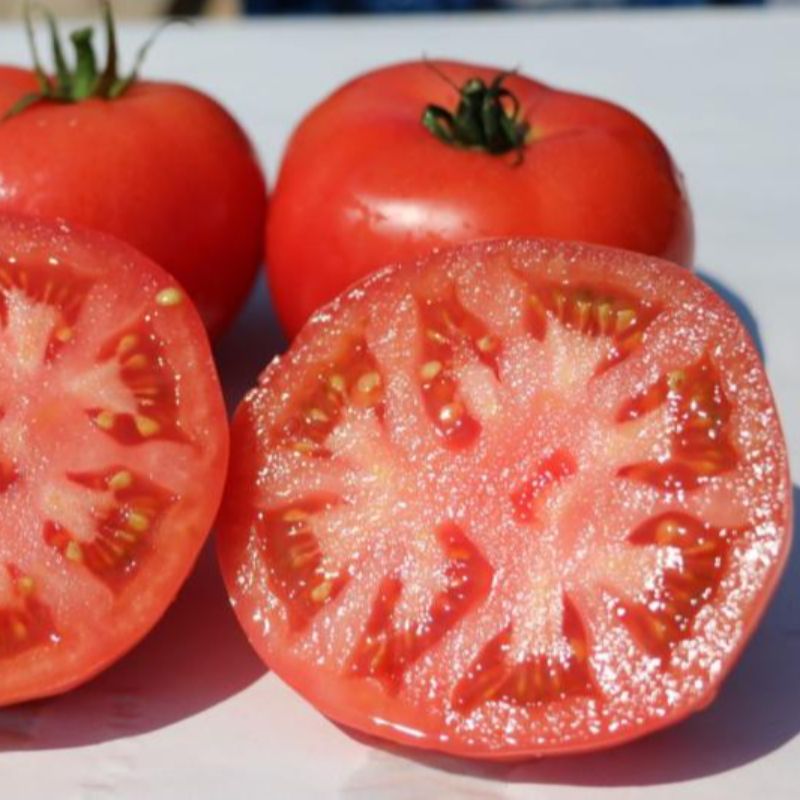 Tomate redondo (orgánico) PROMO X 3KG 
