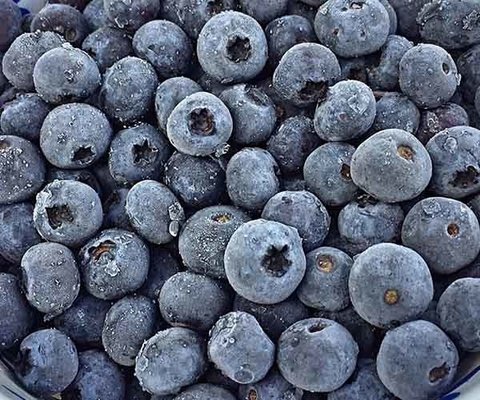 Arandano Congelado