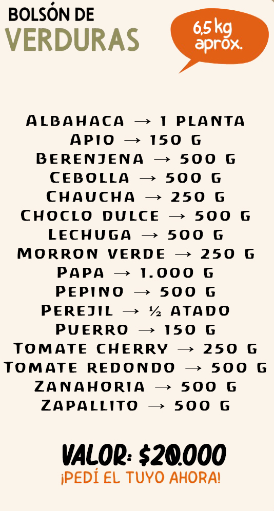Bolson de verduras organicas