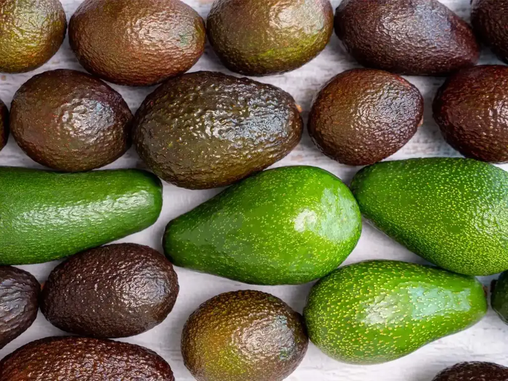 Palta Hass (orgánica) PROMO x 1KG