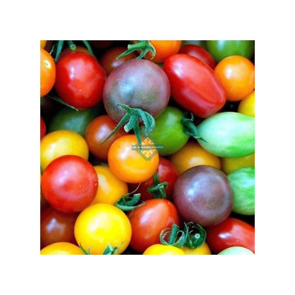 Tomate cherry PROMO X 1KG (orgánico)