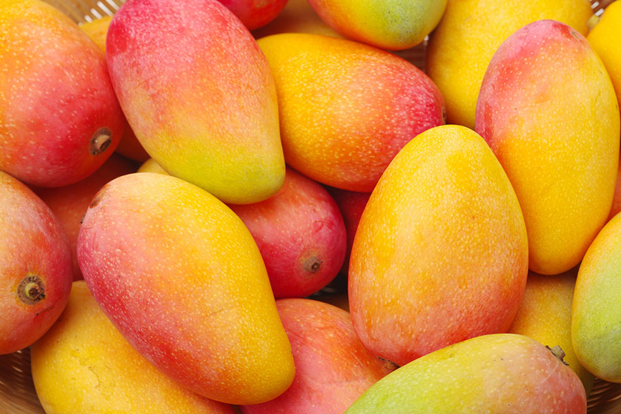 Mango oro (orgánico)