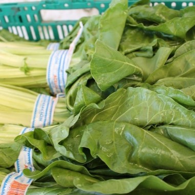 [33362] Acelga x atado (orgánica)