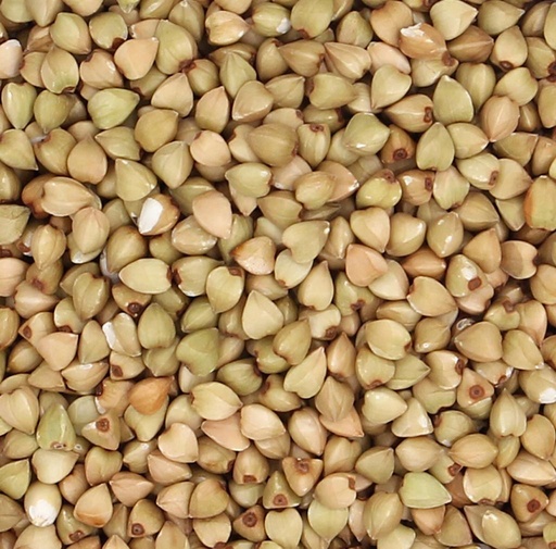 [90295] Trigo Sarraceno Pelado "Semillas gauchas" x 250 grs