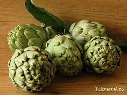 [33643] Alcaucil x Unidad VERDE "Monte callado"