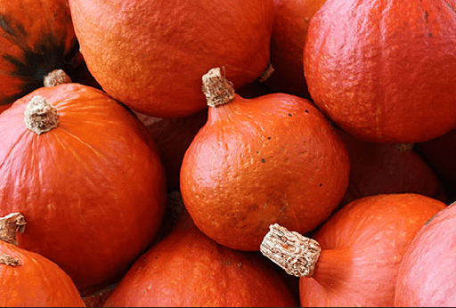 [0987] Zapallo hokkaido "Monte Callado"