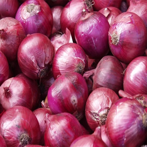 [6876] Cebolla Morada (orgánica)