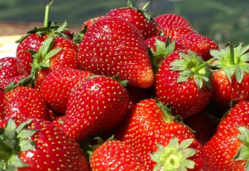 [734633] Frutillas PROMO X 1KG (agroecologicas)