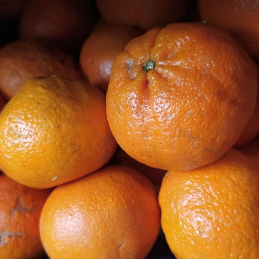 [9075] Mandarina (orgánico)