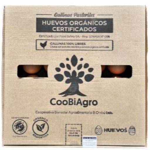 [201000000333333-1-1-1] Maple Huevos "Monte Callado"