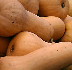 Zapallo Anco (organico)