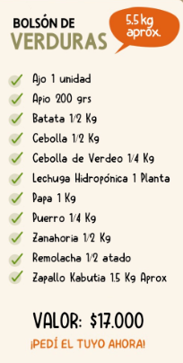 Bolson de Verduras