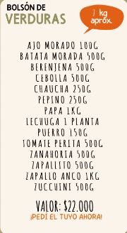 Bolson de verduras organicas
