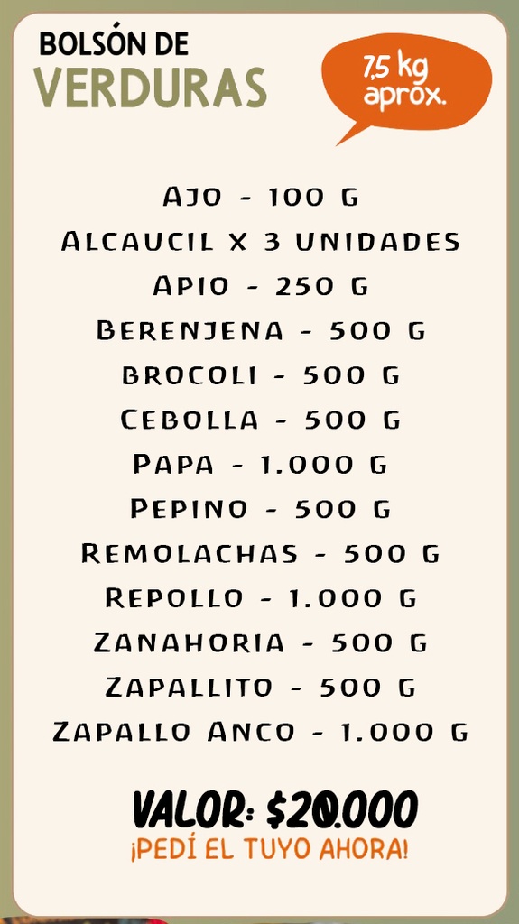 Bolson de verduras organicas