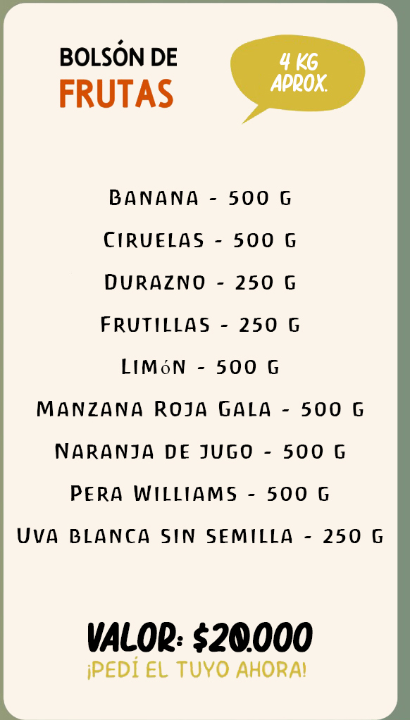 Bolson de frutas organicas