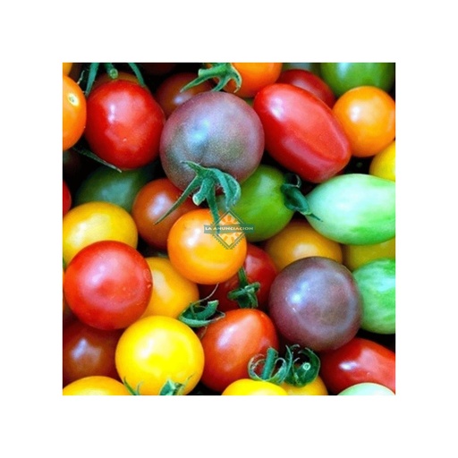 Tomate cherry PROMO X 1KG (orgánico)